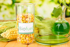 Start biofuel availability